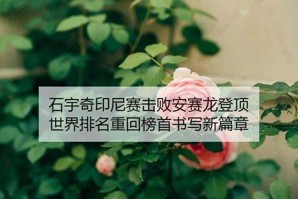 shi-yu-qi-yin-ni-sai-ji-bai-an-sai-long-deng-ding-shi-jie-pai-ming-zhong-hui-bang-shou-shu-xie-xin-pian-zhang-2-284.jpg